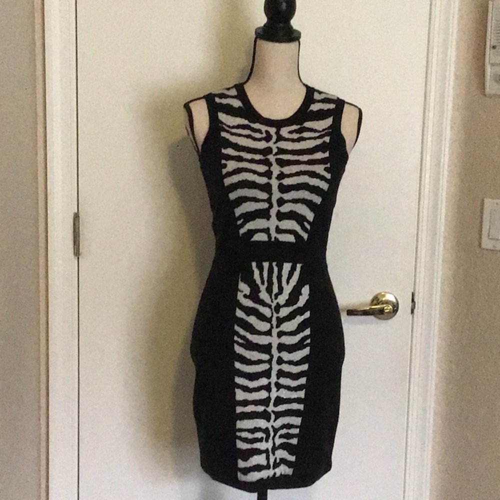 Milly Dress